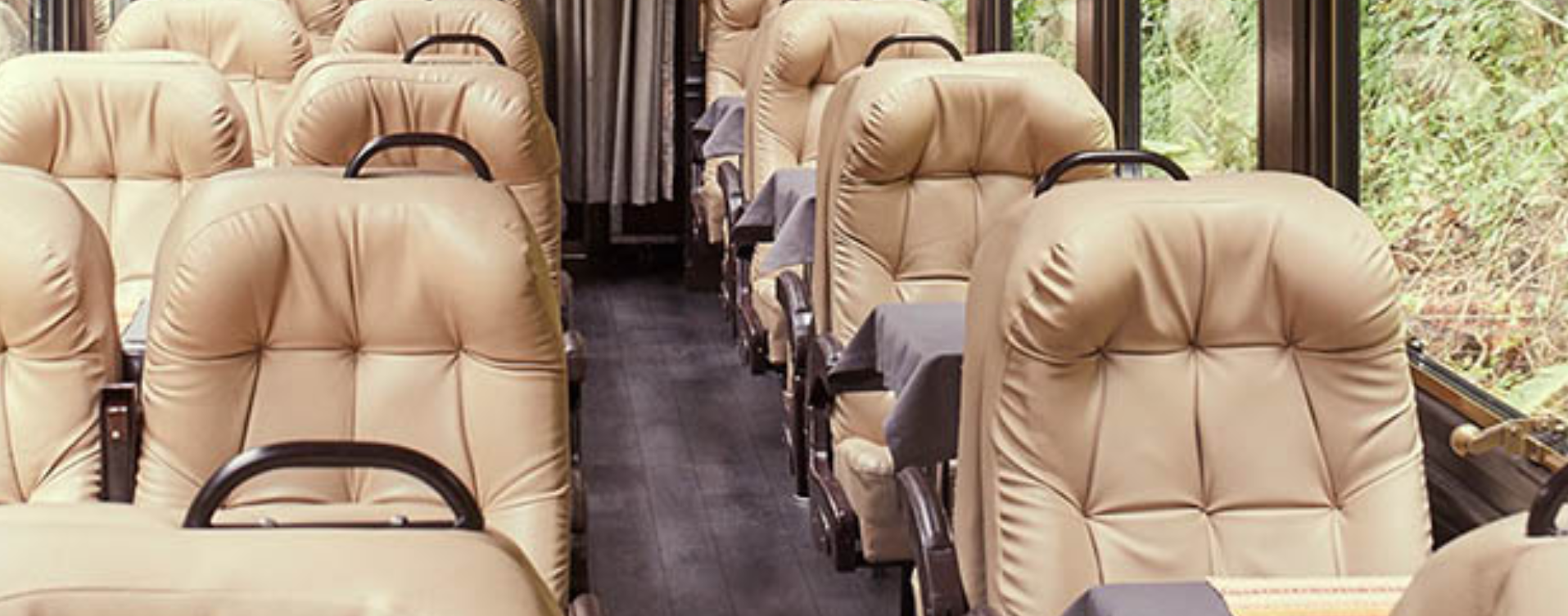 Trem The Voyager Premium and Lounge